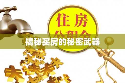 通化揭秘买房的秘密武器