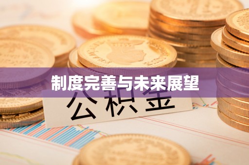 通化制度完善与未来展望