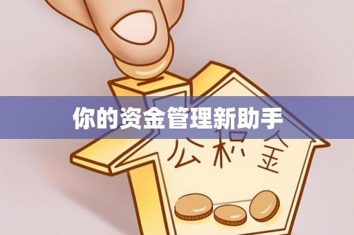 通化你的资金管理新助手