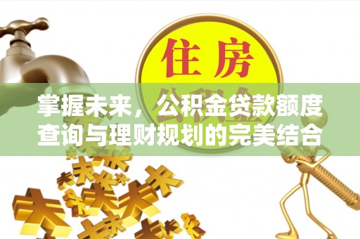 通化掌握未来，公积金贷款额度查询与理财规划的完美结合