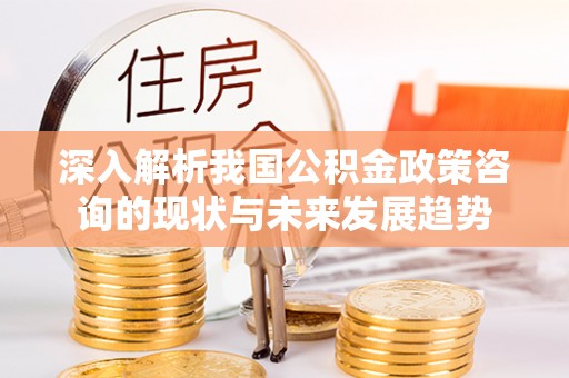 通化深入解析我国公积金政策咨询的现状与未来发展趋势