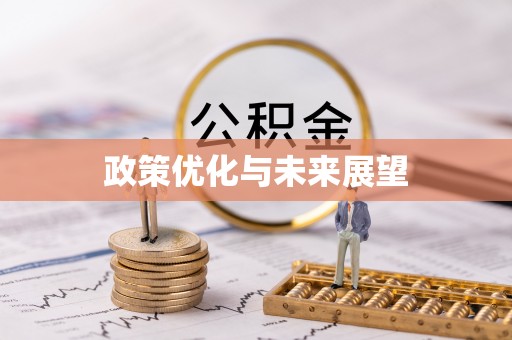 通化政策优化与未来展望